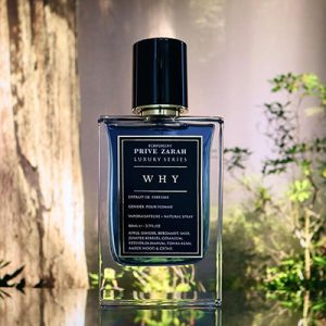 aromatisch fougere heren geur
